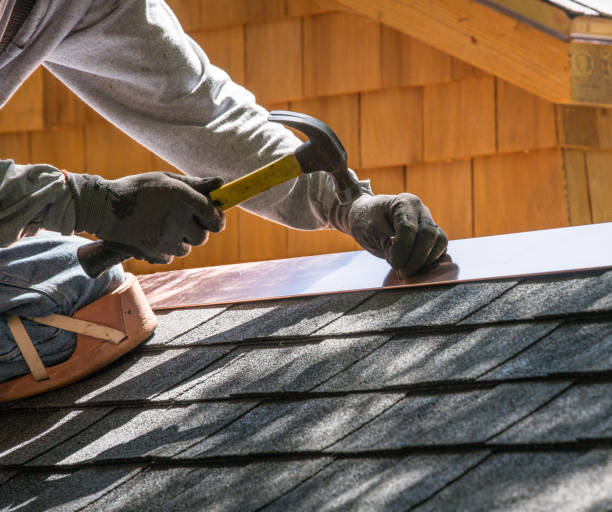 Best Metal Roofing Contractor  in North Branch, MI